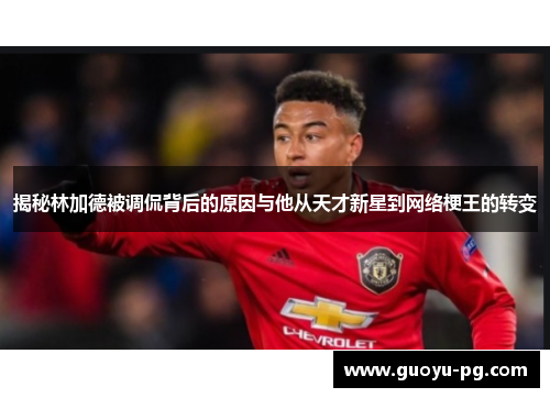 揭秘林加德被调侃背后的原因与他从天才新星到网络梗王的转变