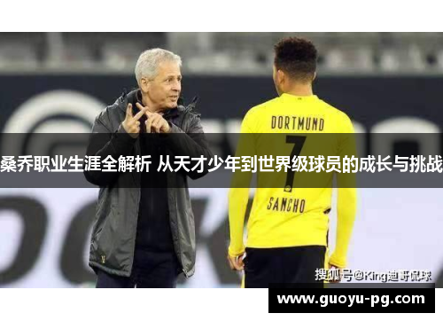 桑乔职业生涯全解析 从天才少年到世界级球员的成长与挑战